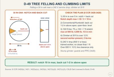 Lesson diagram: D-49 Tree Service: Felling Notch, Climbing Line and Power-Line Limits
